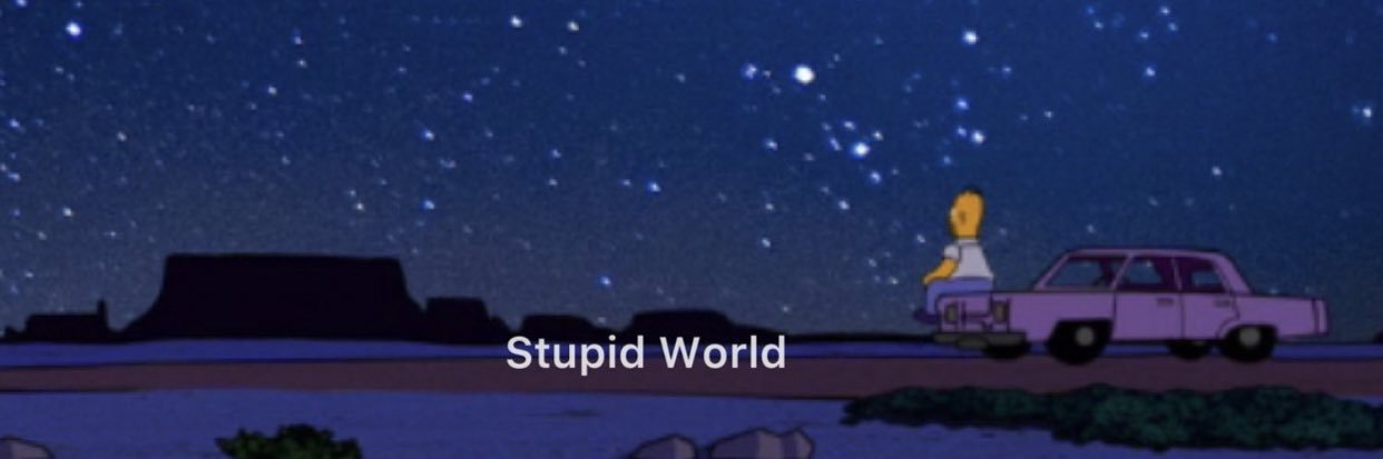 Petit Prince 🤴🏽's banner