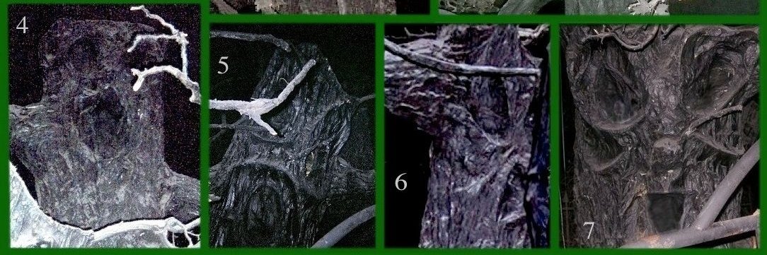 SEMATARY GRAVE MAN 𐕣 𐕣 𐕣's banner