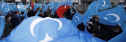Uygur Hareketi's banner