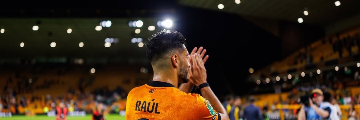 Roberto Haz's banner