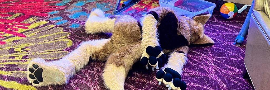 Zak ➡️ 🦋Punk(dot)bsky(dot)social's banner