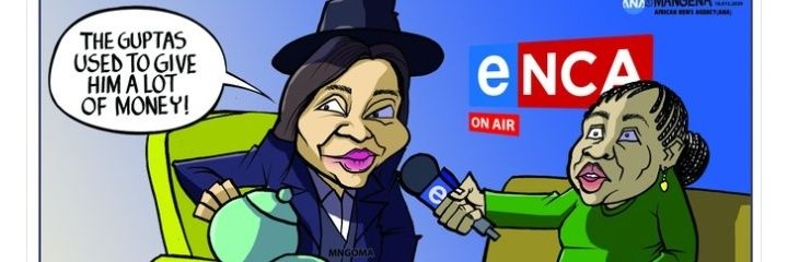 Silindelo Sebata's banner