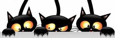 Мрак и котики 🐾's banner