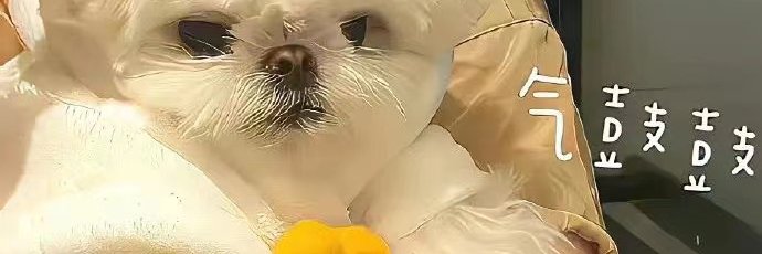 煤老板的小情人's banner
