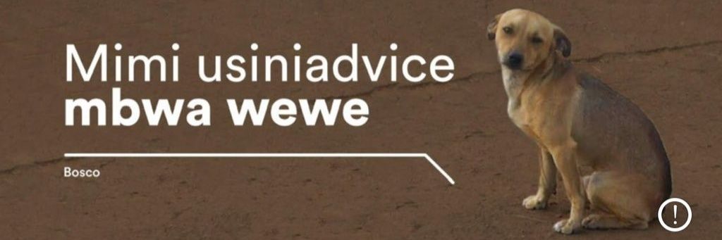ᴇʟꜰᴏ 🇷🇼's banner