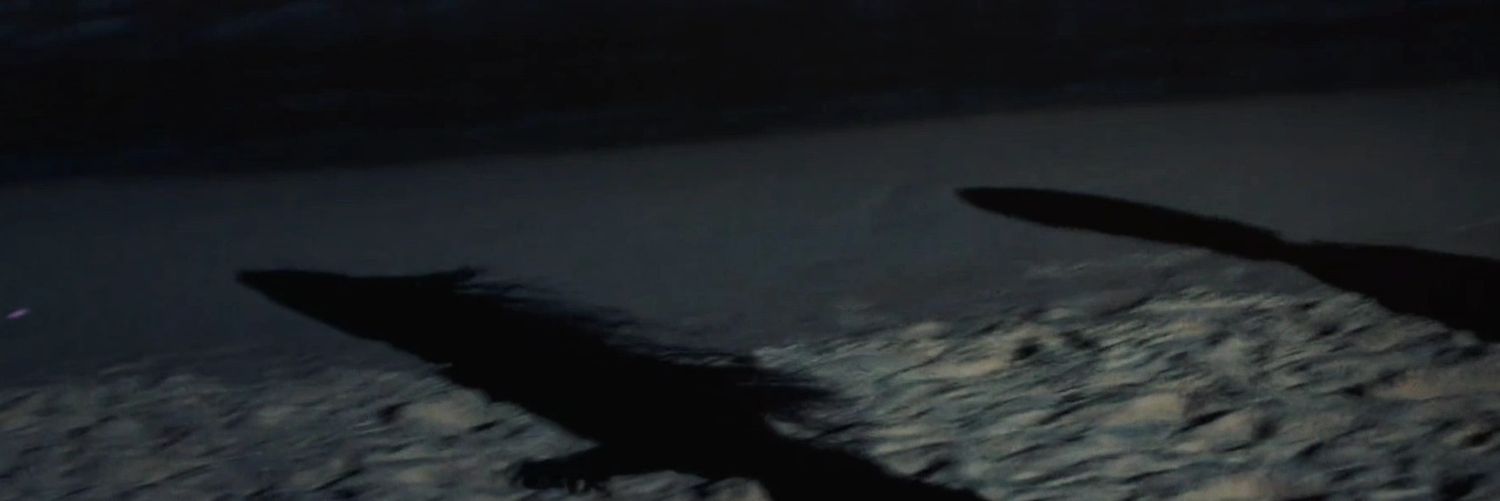 𓏲ּ's banner