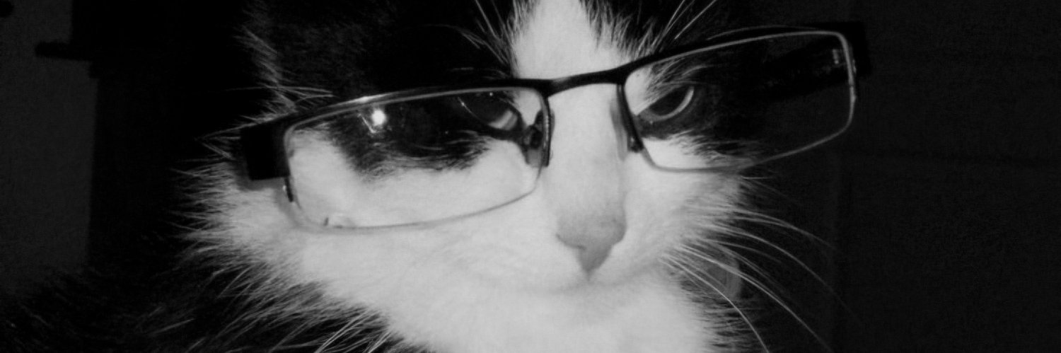 𝖼𝗁𝖺n🐈‍⬛️'s banner