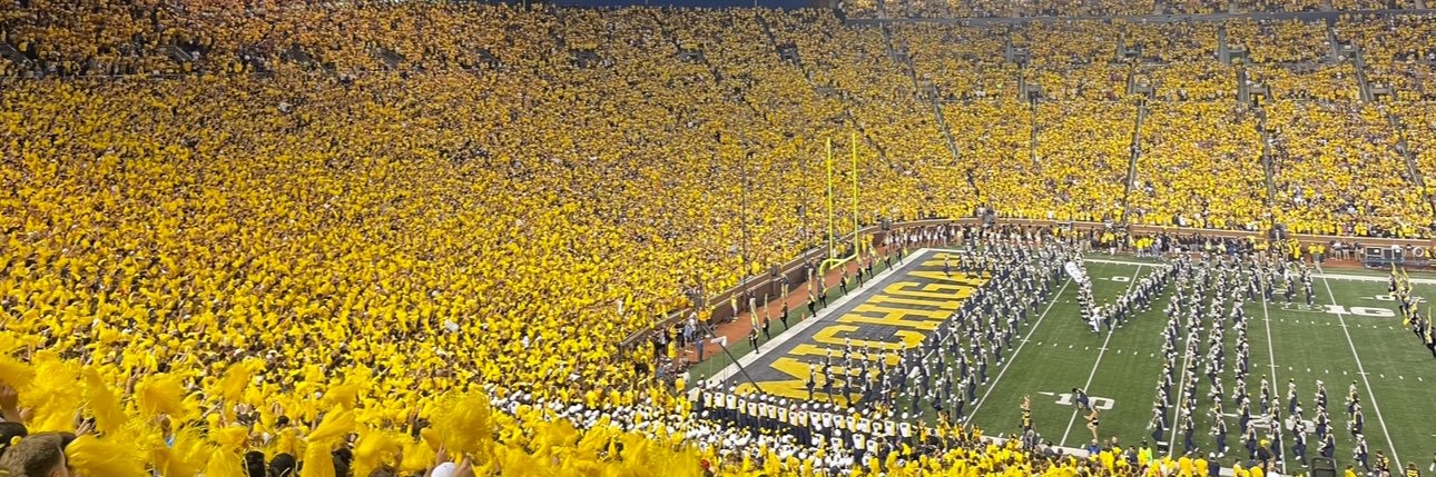 umichvoter's banner