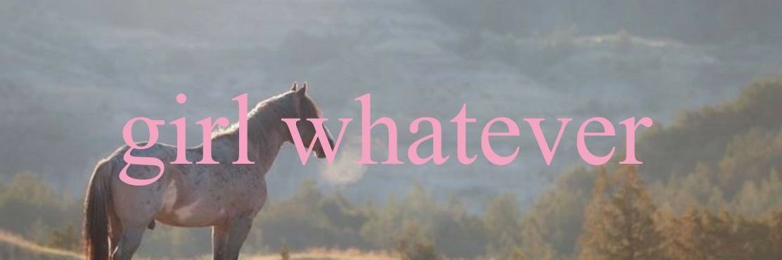 ally's banner