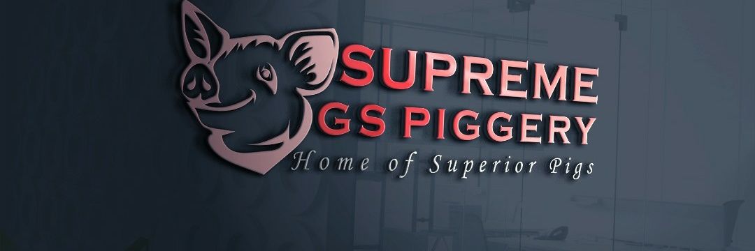 Sir Jay-Tee's banner
