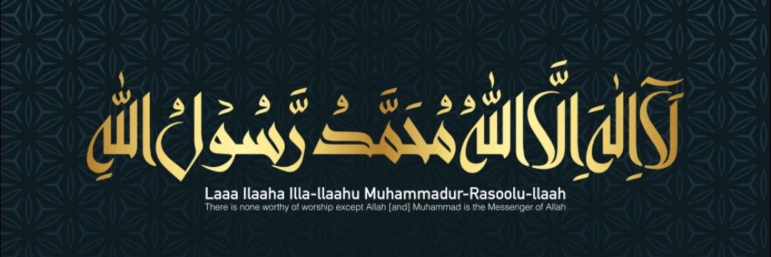 Shubz's banner