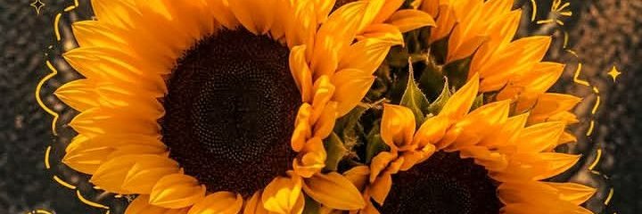 Nicole's banner