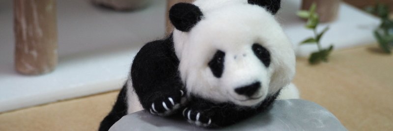 PANDA MOON's banner