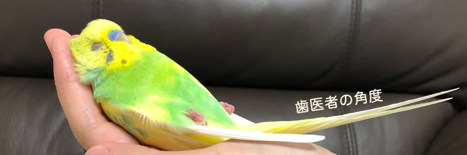 おかゆとかいぬし's banner