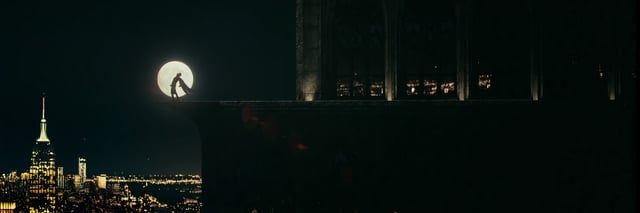 Bhandafod's banner