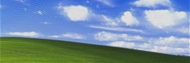 Degen's banner
