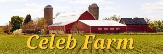 CelebFarm's banner