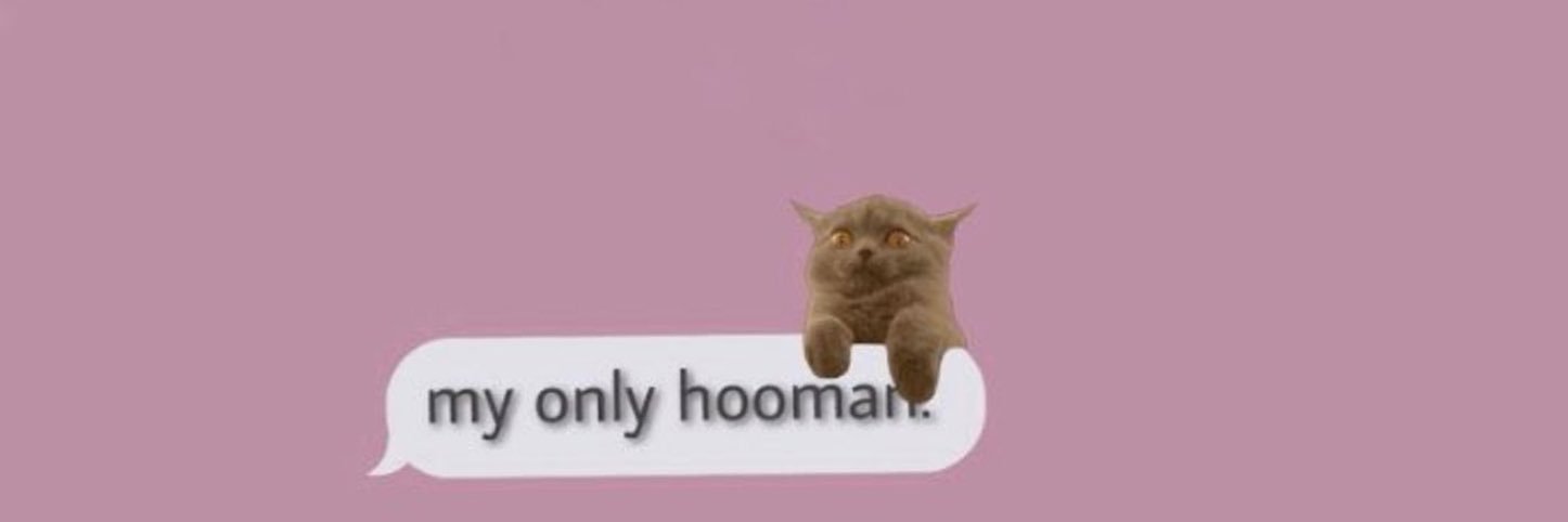 D A S H I's banner
