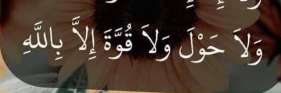 MagdaHafiz's banner