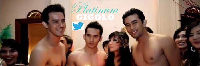 Platinum Gigolo's banner