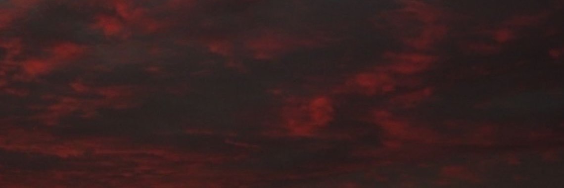 ollie 🗡️'s banner