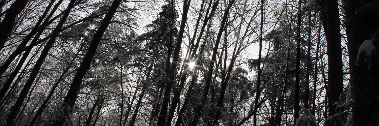 ᴋʀʏ's banner