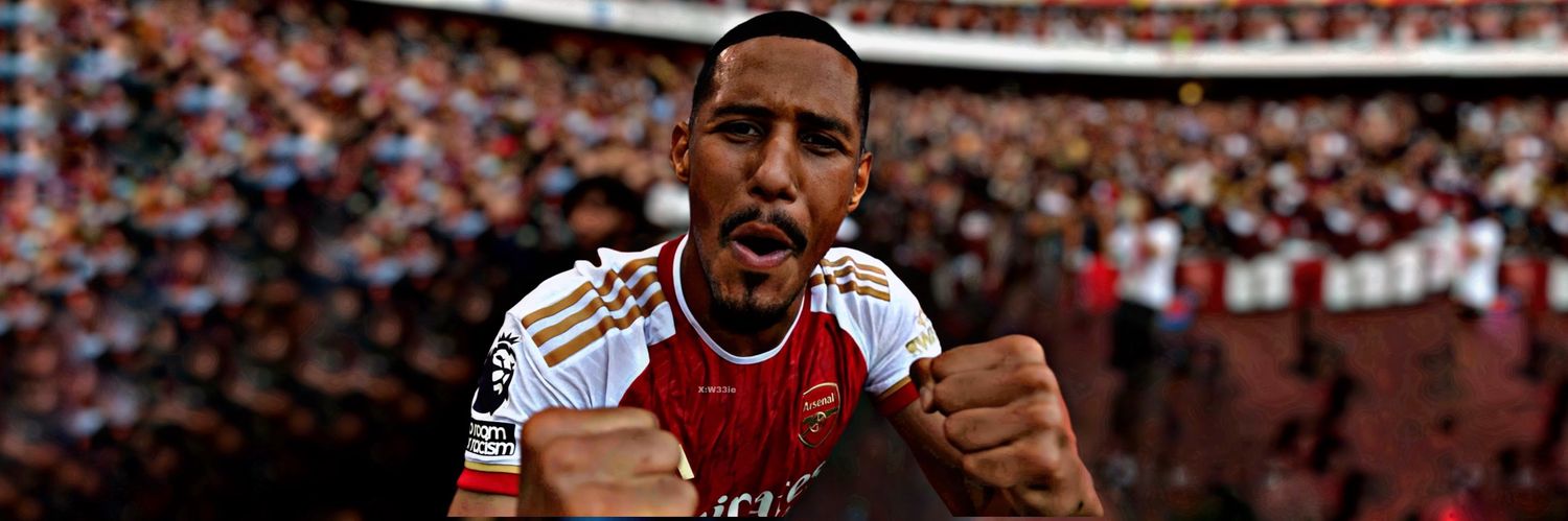 Mik_AFC 's banner