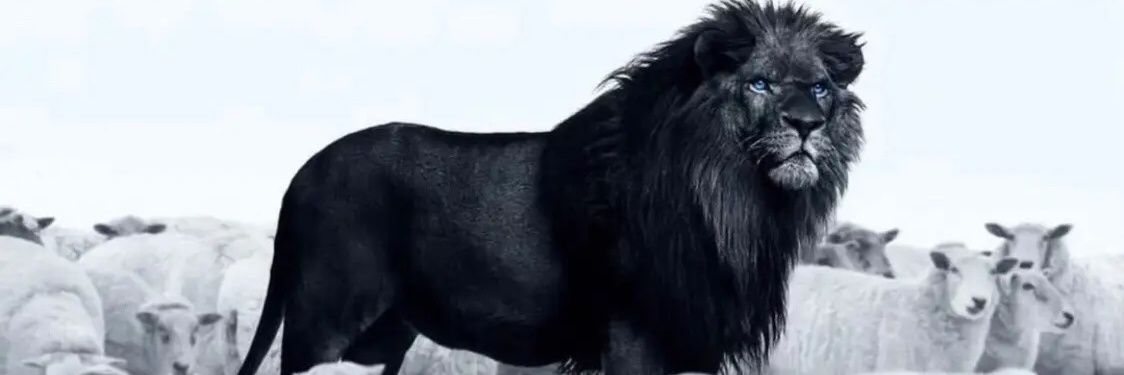 LoneChild 🦍's banner