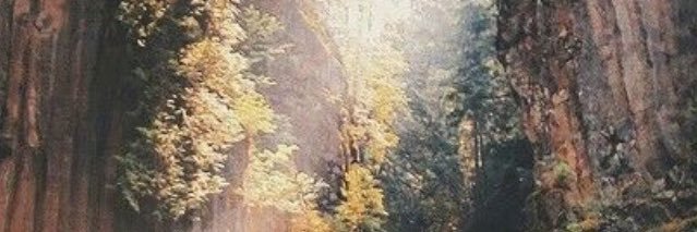 wannabe a woodpecker's banner
