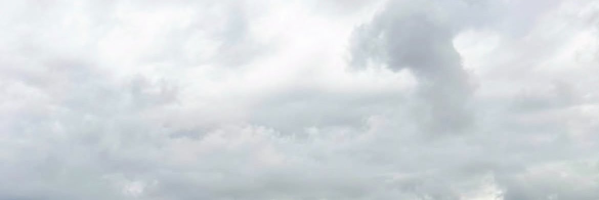 p's banner