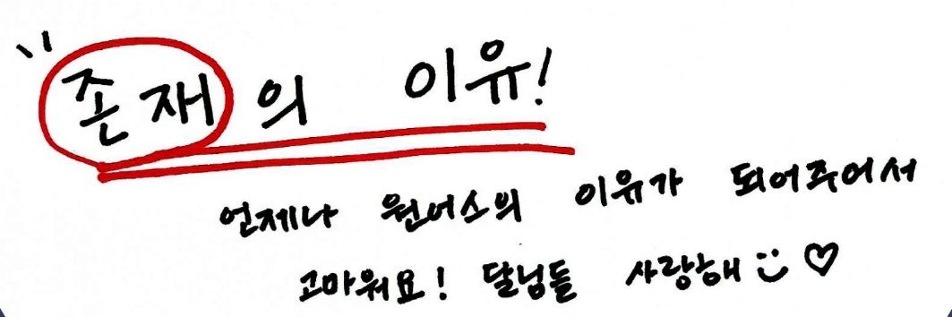 곰몽이🌙's banner