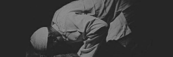 منبه الخير's banner