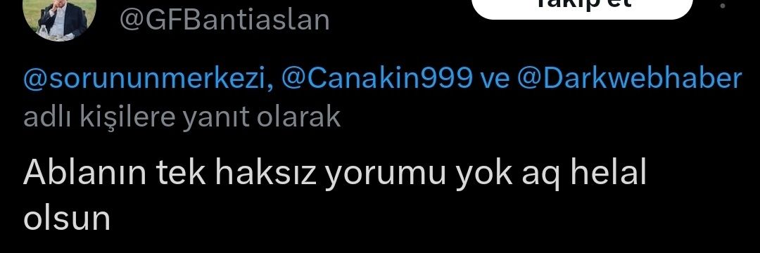 selin's banner