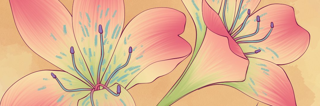 gabi 🌸's banner