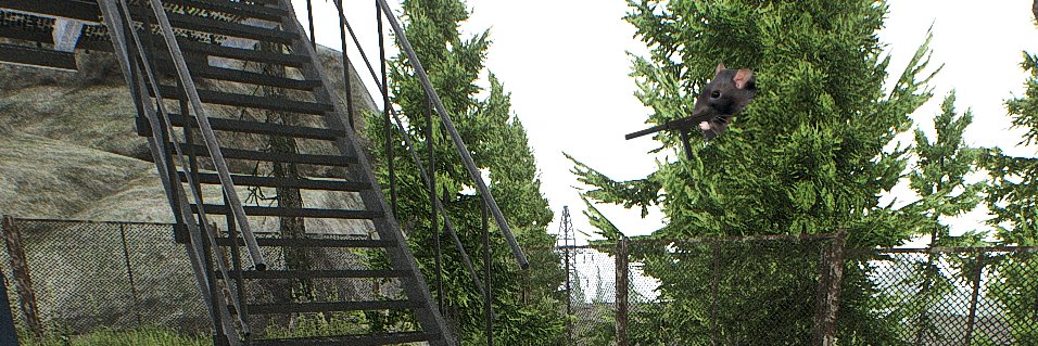 ExfilCamper's banner
