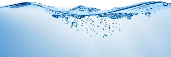 水滴的声音💧现在的共产党在西方→政治正确→命贵与原罪身份→文化大革命's banner
