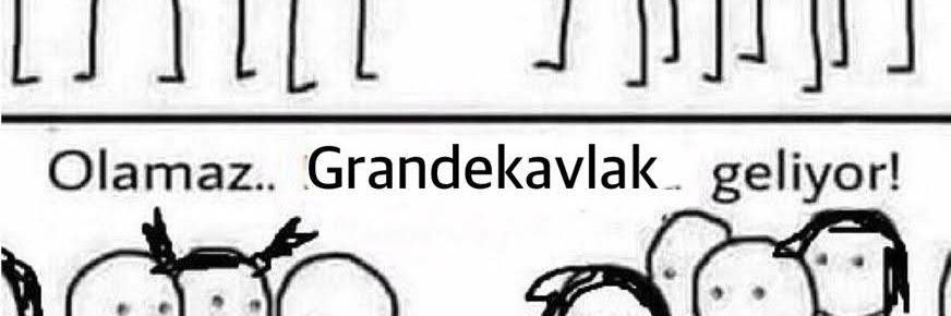 Grande's banner
