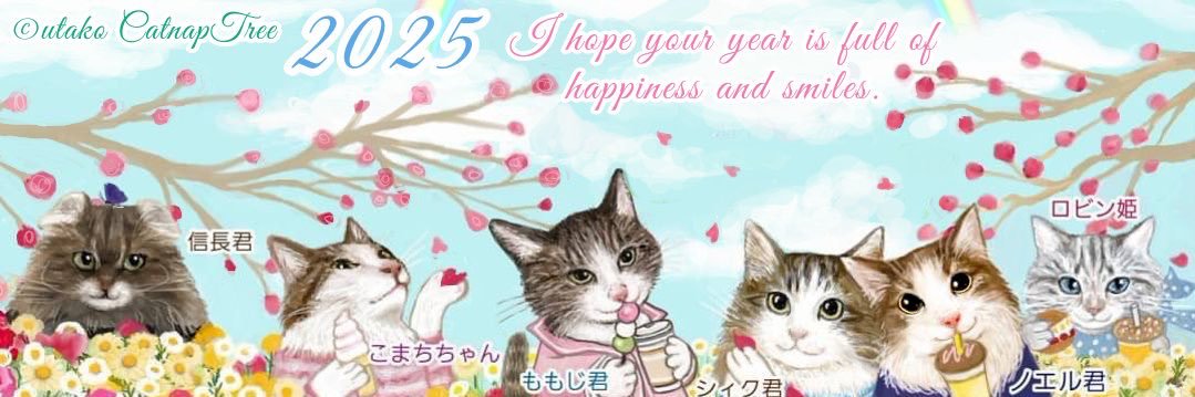 シィク / 猫アカ's banner