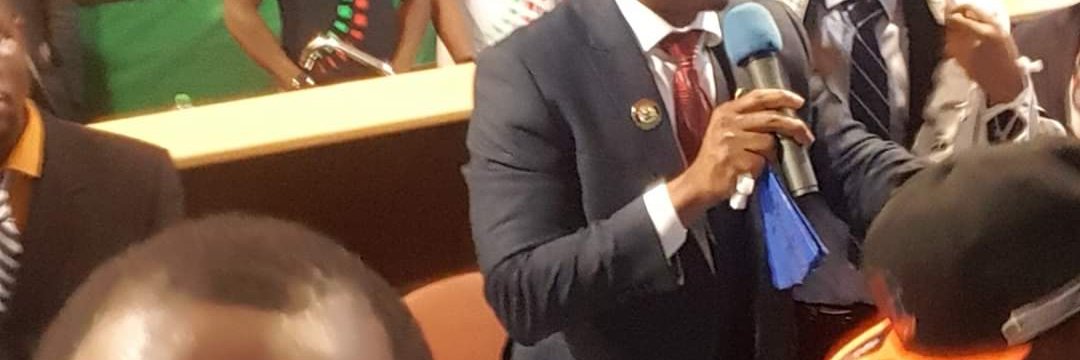 I.P.O. Biafra for Africa's banner