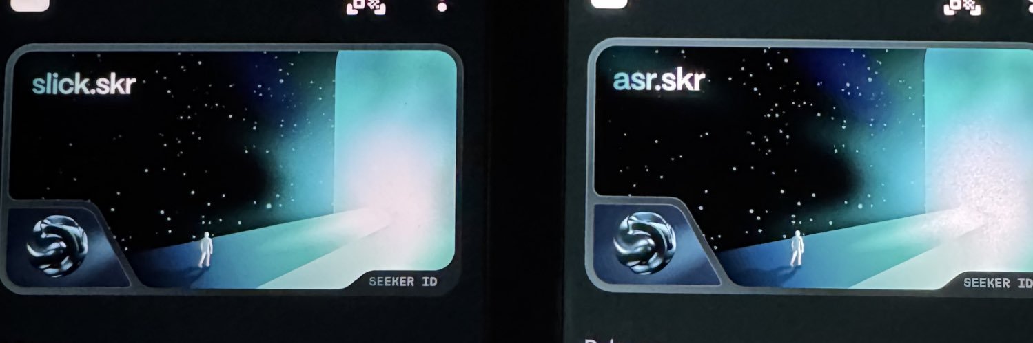 SLICK.skr🐡's banner