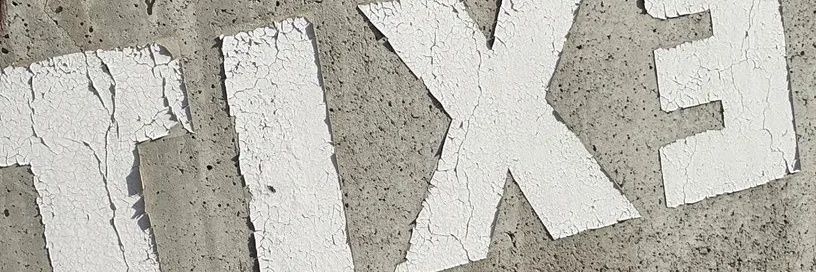 leia's banner