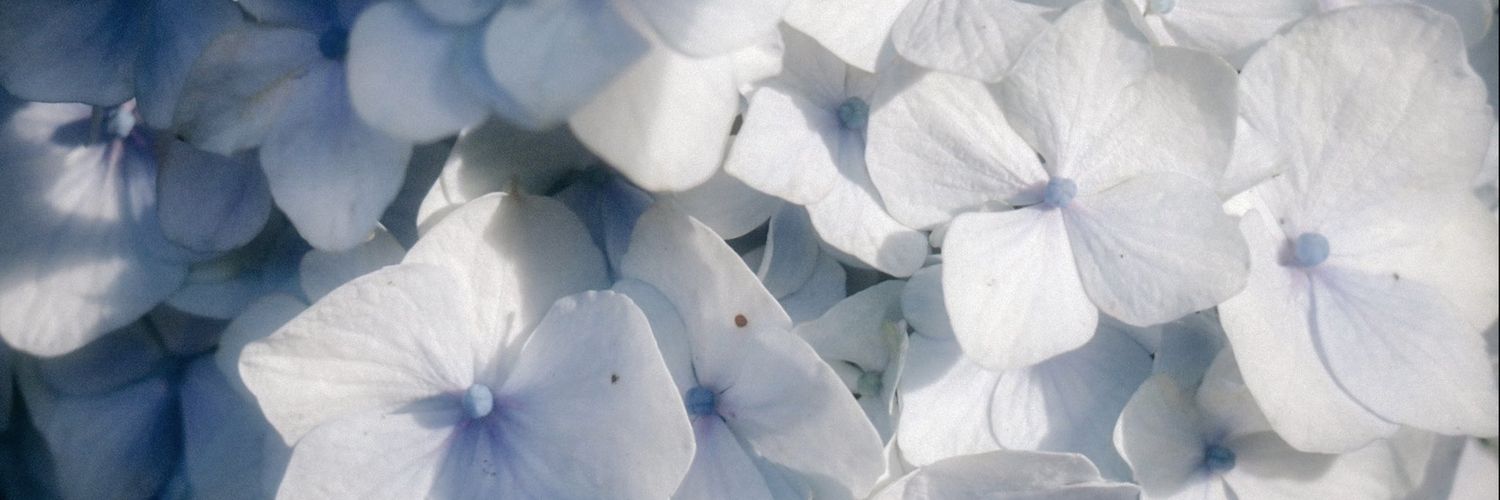 📎 ˖⊹ ࣪𝐋𝐲𝐧 ✮⋆˙'s banner