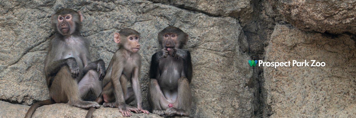Prospect Park Zoo's banner