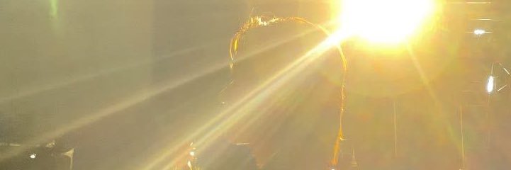 bEe's banner