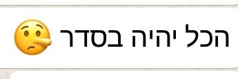 Itamar Fleischmann's banner