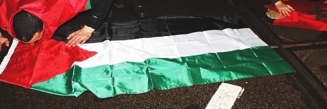 Mohannad 🇵🇸's banner
