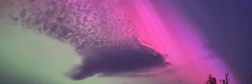 𝓐𝓻𝔂_ ♀️🇻🇦✝️'s banner