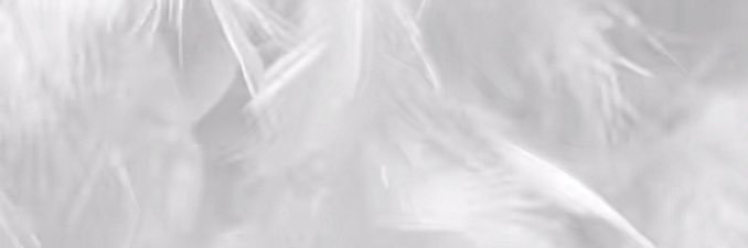 🤍🤍's banner