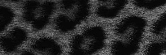 ྀི's banner
