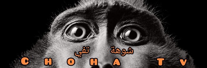 Choha.Tv شوهة تفي's banner